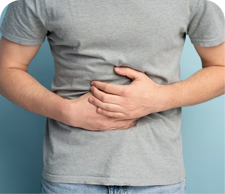 Digestive
