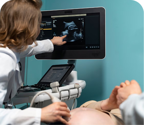 Echography